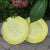 Vintage Yellow Cabbage Leaf Dinner Plates 11” - a Pair For Sale In Chicago - Image 6 of 10
