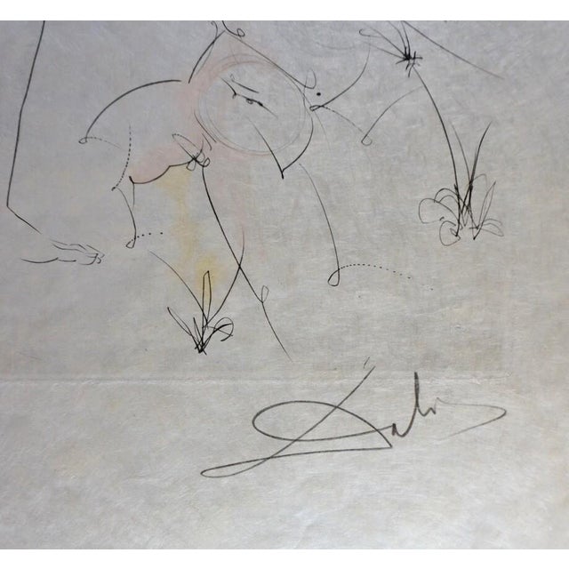 ARTIST: Salvador Dali TITLE: Hommage a Albrecht Durer Venus & Cupid MEDIUM: Etching SIGNED: Hand Signed PUBLISHER: Vision...