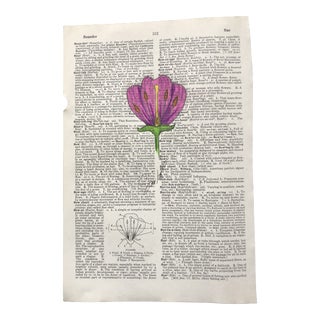 “Flower” Contemporary Colored Pencil Drawing on Dictionary Page by Nancy Smith For Sale