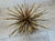 1960s 1960s Golden Sheaf of Wheat 36 Inch Cocktail Table For Sale - Image 5 of 5