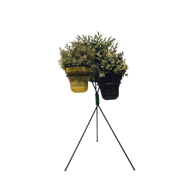 Vintage Tripod Plant Stand in Lacquered Metal, 1950s For Sale - Image 15 of 18