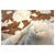 21st Century Turkish Oushak Wool 7x10 Ivory & Brown Handmade Area Rug #1144189 For Sale - Image 12 of 12