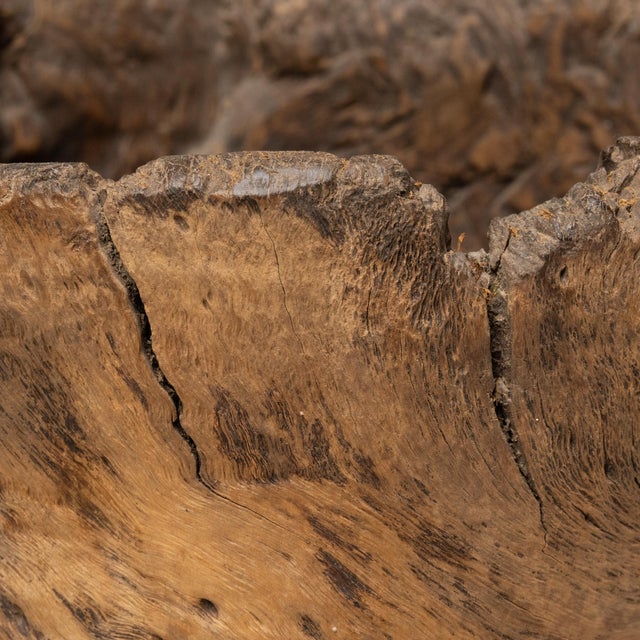 Chinese Gnarled Trunk Mortar, C. 1900 For Sale In Chicago - Image 6 of 6