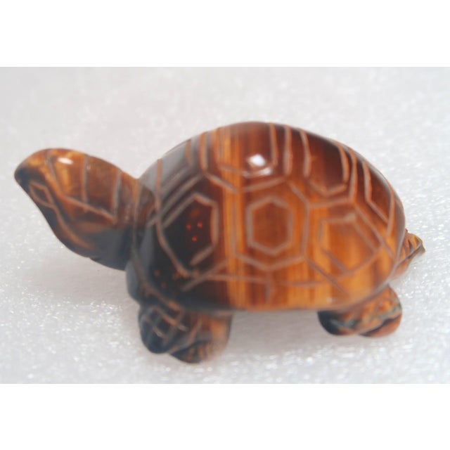 This adorable little turtle is different from the other turtle carvings from the collection of semiprecious stone carvings...