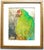 2020s Parrot Chat - Contemporary Framed Pastel Drawing - Listed Artist Martha Holden For Sale - Image 5 of 6