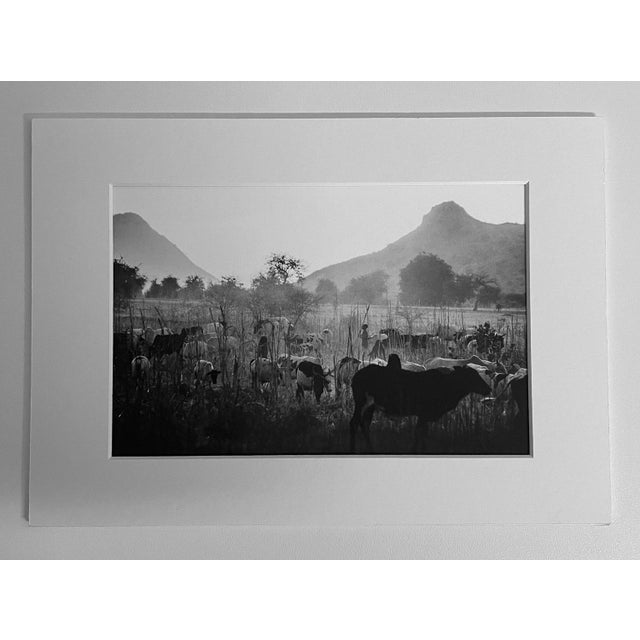 José Nicolas (1956)Chad 1997, pastoral care in the OueddeiDigital printingFormat 16 x 24, mat 20 x 30Sign This piece is...