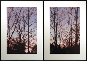 1980s Scott Nellis "Branching I &Ii A" Blue Signed Numbered Fine Art Diptych Serigraphs of Trees - a Pair