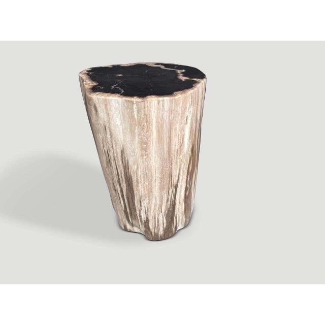 Contemporary Andrianna Shamaris Modern Organic High Quality Petrified Wood Side Table For Sale - Image 3 of 5