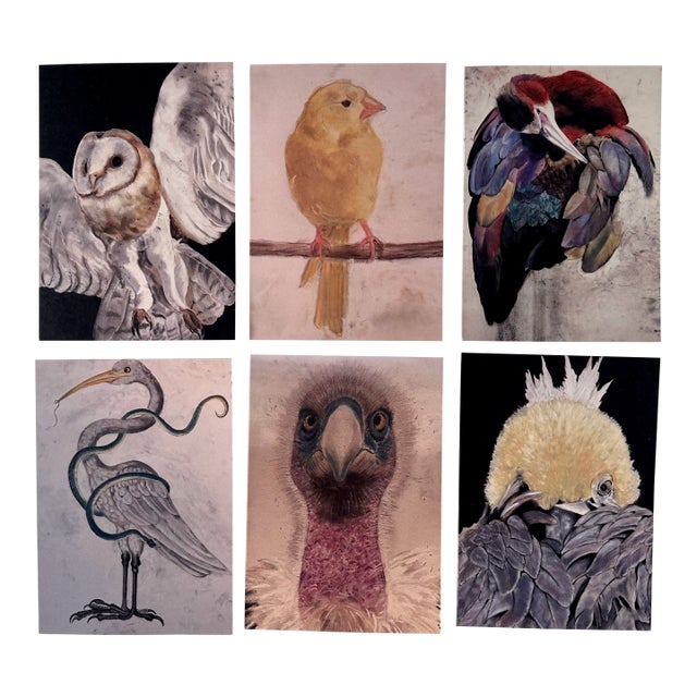 Set of Six Note Cards Printed From My Drawings of Birds For Sale