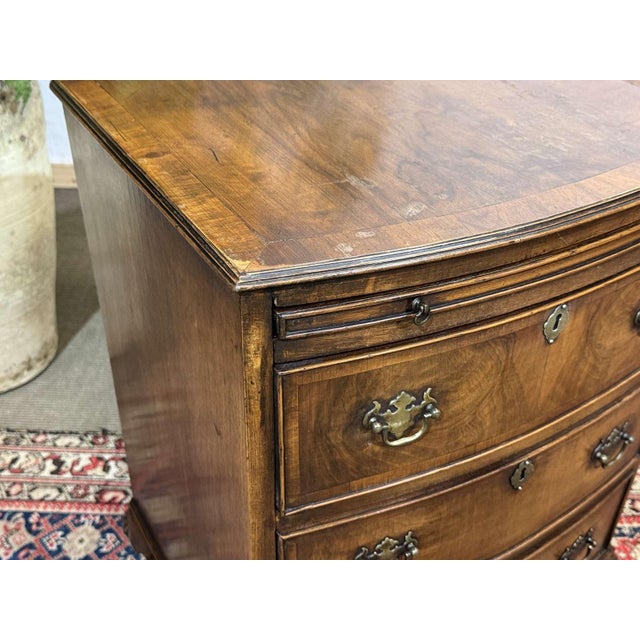 Vintage English Walnut Chest of Drawers, 1950s For Sale - Image 6 of 14