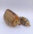 Vintage Fish Sculptures in Ceramic, 1970s, Set of 2, in Flawless conditions. Designed 1970 to 1979 This piece has an...