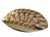 Glass Fornace Ferro Murano Style Art Glass Bowl in the Shape of a Sea Shell For Sale - Image 7 of 18