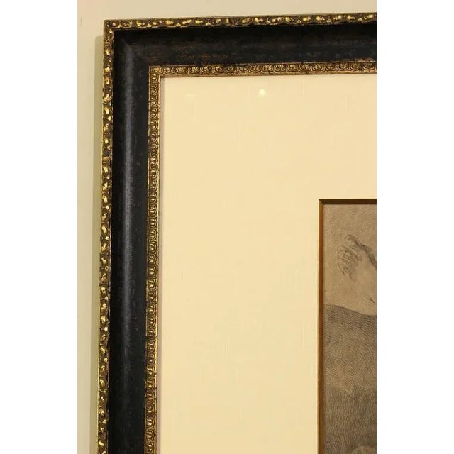 Large Figural Study in Pencil For Sale - Image 6 of 9