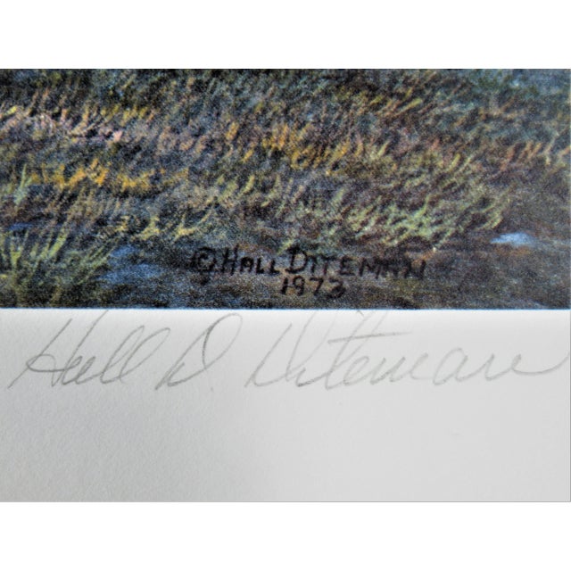 1970s The Purple Mountain’s Majestic, 1973 For Sale - Image 5 of 6