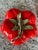 Scarlet 1980s Fitz and Floyd Tomato Soup Tureen For Sale - Image 8 of 12
