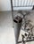 Vintage Handcrafted Metal Forest Canopy Queen Bed Frame, Signed For Sale - Image 10 of 17
