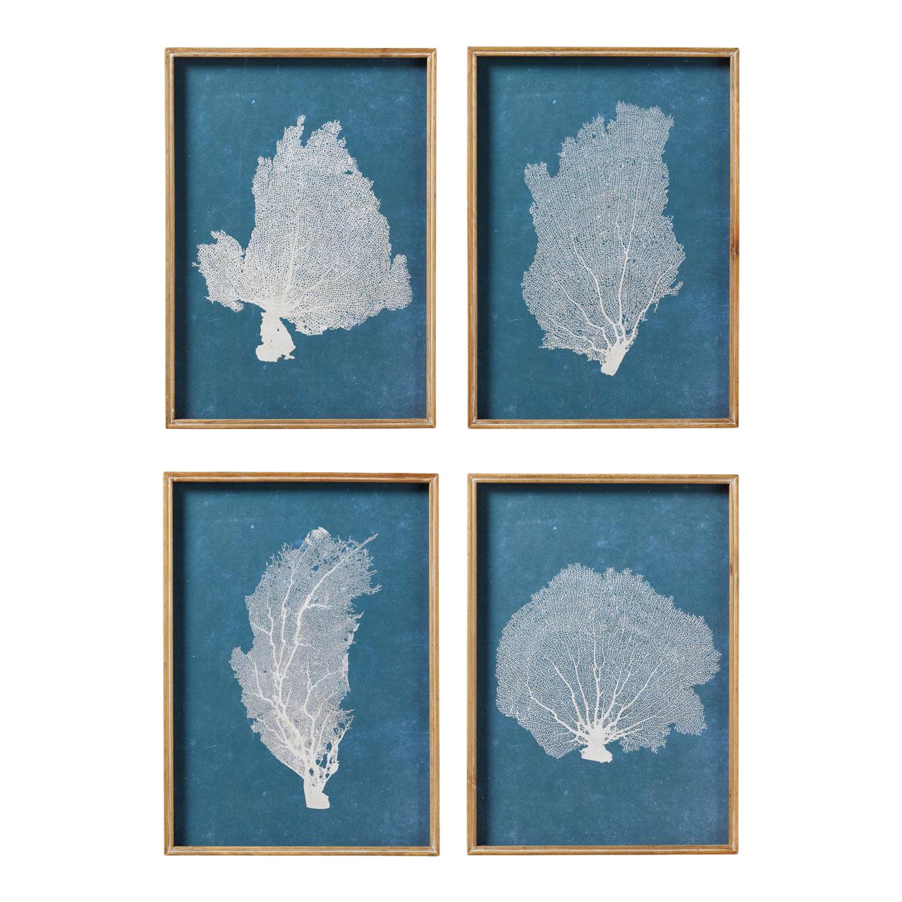 OKA Skeleton Coral Prints in Blue/White Set of 4 Chairish