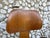 DCW Dining Chair in Walnut by Charles and Ray Eames for Herman Miller, 1950s For Sale - Image 12 of 17