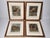 American Late 19th Century Louis Prang Deer Engravings in Burl Wood Style Frames - Set of 4 For Sale - Image 3 of 16