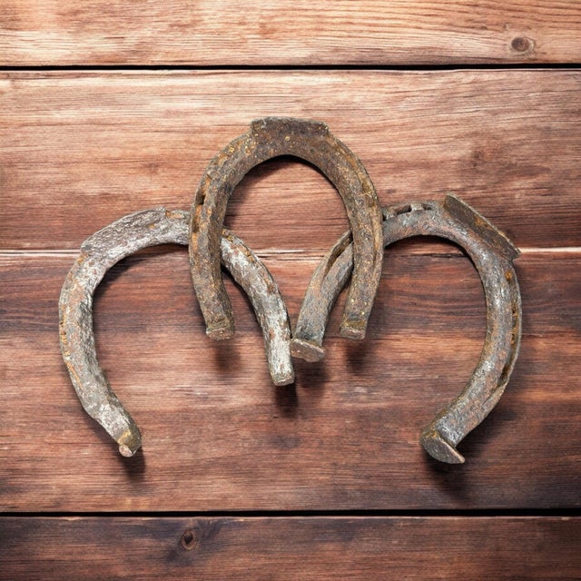 Farmhouse Early 20th Century Rustic Horseshoes Wall Decor- Set of 5 For Sale - Image 3 of 9