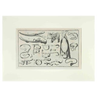 Lorenz Heister, Surgical Instruments, Etching, 1750 For Sale