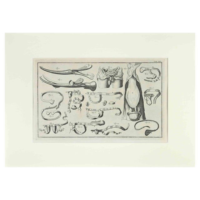 Lorenz Heister, Surgical Instruments, Etching, 1750 For Sale