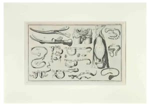 Lorenz Heister, Surgical Instruments, Etching, 1750