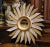 French Vintage French Carved Two-Tone Gilt and Silver Painted Sunburst Wall Mirror For Sale - Image 3 of 7