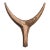 Medium Nguni Head Black Iroko, Animal Head Wall Sculpture, Gunsmoke For Sale