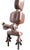 Metal Mid 20th Century Adjustable Flex Arm Task Lamp by Dazor For Sale - Image 7 of 14
