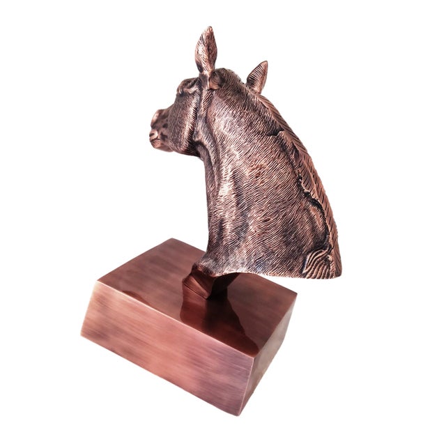 Antique Copper Finish Metal Hand Carved Horse Head Bust Sculpture For Sale - Image 10 of 10