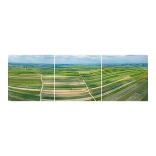 "Stripes_of_Suloszowa_001" Triptych Aerial View Limited Edition Photograph by Bernhard Lang For Sale