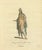 European School Artist, Habit of a Woman of Africa in 1581, 1749, Engraving For Sale - Image 4 of 9