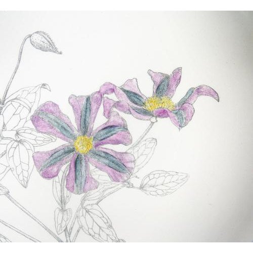 Vintage Plates in Porcelain, Set of 6 For Sale - Image 12 of 18