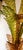 Metal Palm Tree Floor Lamps in Brass & Murano Glass, Set of 2 For Sale - Image 7 of 17