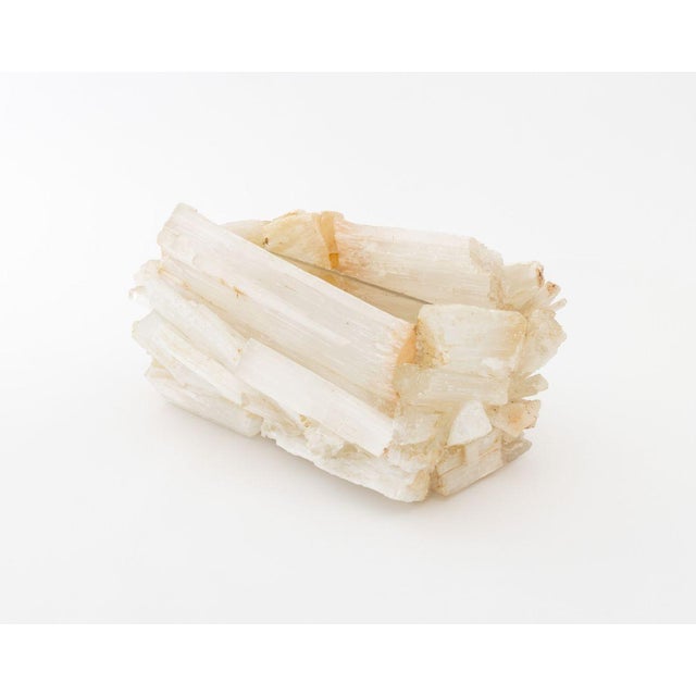 Selenite Crystal Jardiniere For Sale - Image 4 of 11