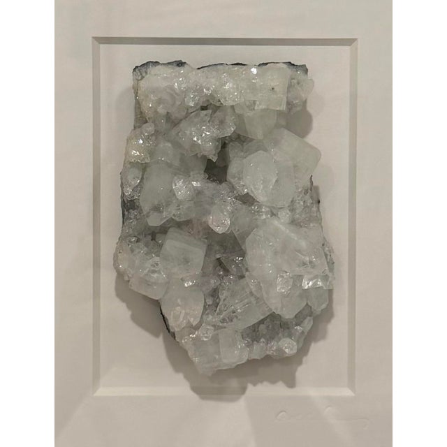 Contemporary Pheromone by Christopher Marley Clear Apophyllite Framed Mineral Specimen For Sale - Image 3 of 4