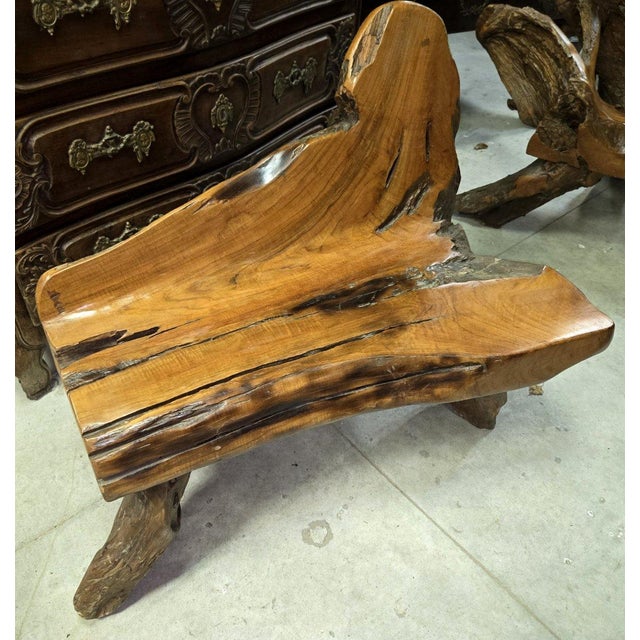 20th Century Bench in Olive Wood and Driftwood, Asia, 1920s For Sale - Image 6 of 9