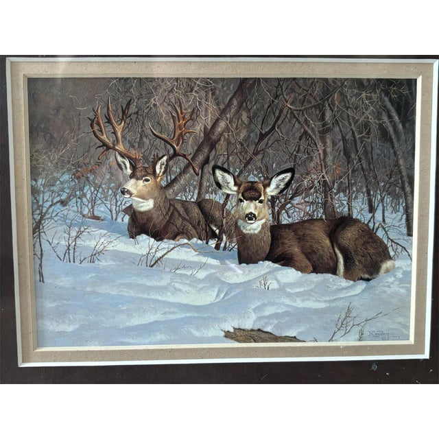 Folk Art 1990s Framed Mule Deer Print Hayden Lambson For Sale - Image 3 of 4