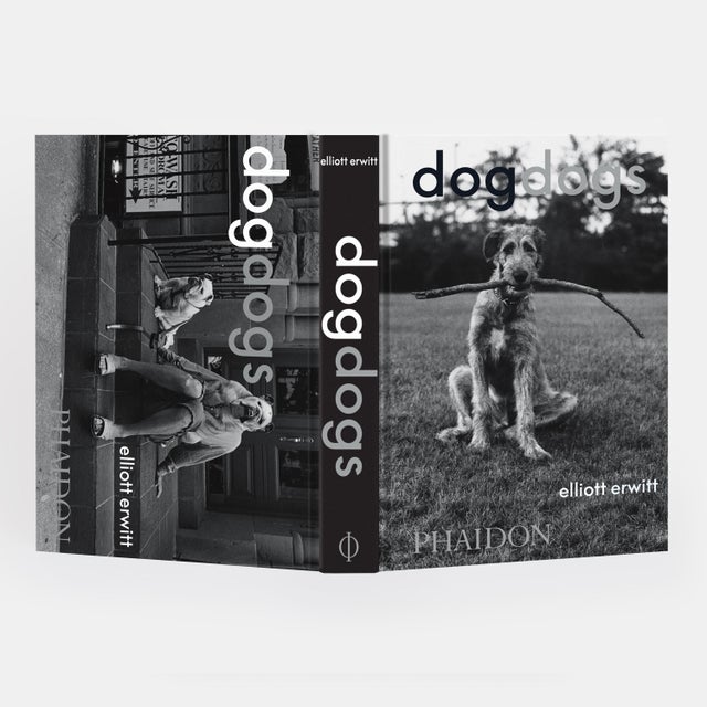 DogDogs Photography Book For Sale In New York - Image 6 of 12