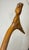 Antique 19th Century Hand Carved Folk Art Dragon Walking Stick Cane Sculpture For Sale - Image 11 of 16