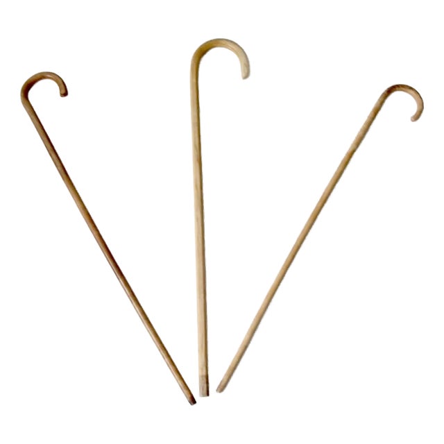 Vintage Wood Canes Set of 3 For Sale