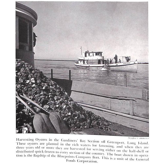 White "Long Island Sound" 1958 Blanchard, Fessenden S. For Sale - Image 8 of 12