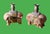 Rose Pair of Chinese Export Famille Rose of Enameled Elephant Candlestick or Josh Sticks, Early 20th C. For Sale - Image 8 of 10