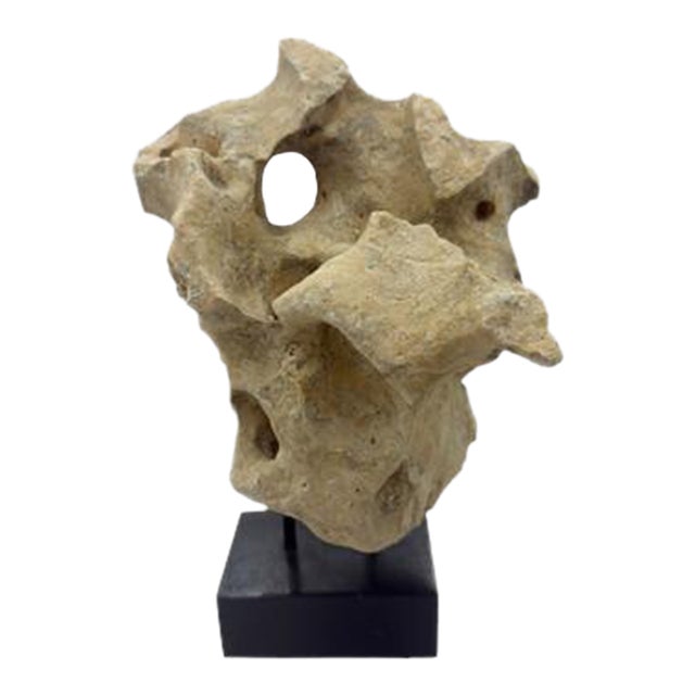 Indonesian Coral Stone On Teak Stand For Sale