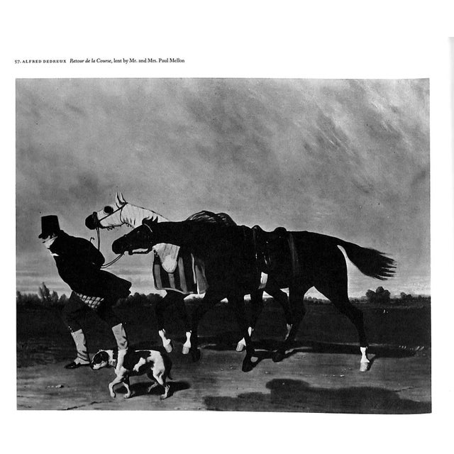 1960s "Sport and the Horse" Book 1960 For Sale - Image 5 of 10