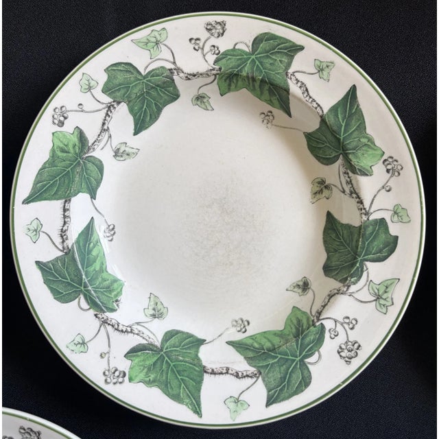 Classical Roman 1940s Napoleon Ivy Wedgwood Soup Bowls - Set of 7 For Sale - Image 3 of 10