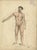 Kuhff, Human Body, 1879, Paper For Sale