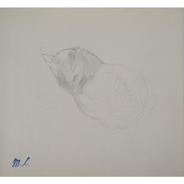 Marie Laurencin, Sleeping Cat, Original Pencil Drawing For Sale - Image 5 of 5
