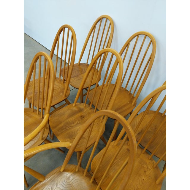 Set of 8 Vintage Mid Century Modern Dining Chairs by Ercol For Sale - Image 11 of 12
